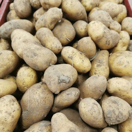 Pommes de Terre ANAÏS. 1kg
