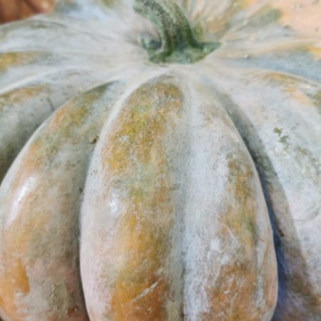 Courge Musquée. 1kg