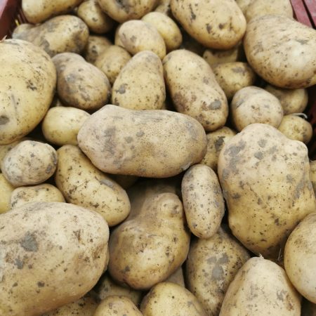 Pommes de Terre MONALISA. 1kg