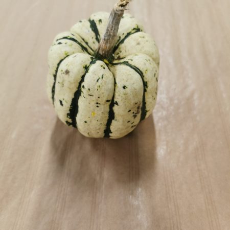 Courge Patidou. 1 pièce