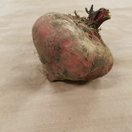 Betteraves Crues Chioggia. 500gr