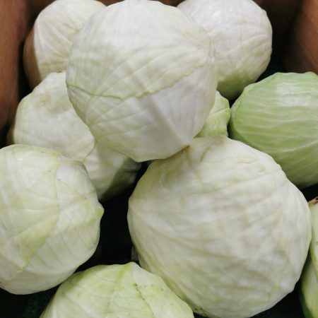 Chou Blanc. 1 pièce