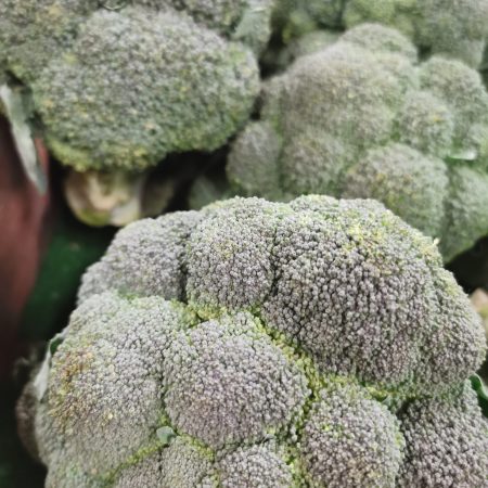 Chou Brocolis. 1 pièce