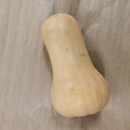 Courge Butternut. 1 pièce