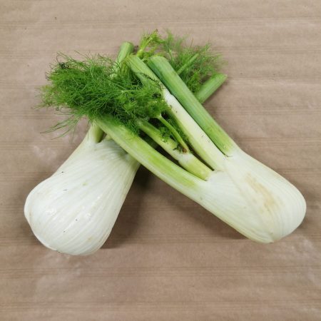 Fenouil. 1 pièce
