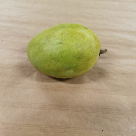 Mangue. 1 pièce