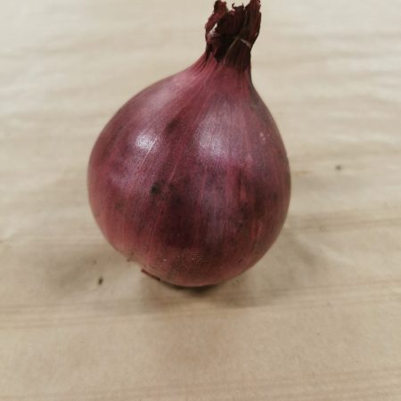 Oignons Rouges. 500gr