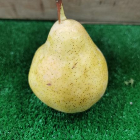 Poires Williams Vertes. 1kg