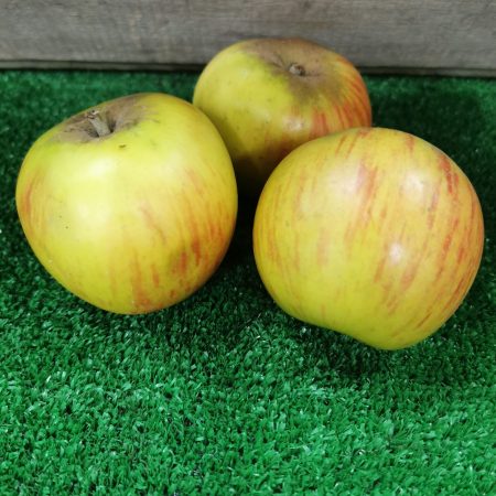 Pommes Reine des Reinettes. 1kg