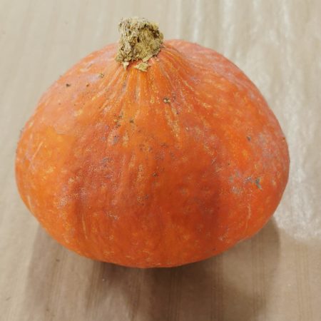 Potimarron. 1 Pièce