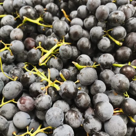 Raisin Noir Muscat. 500gr